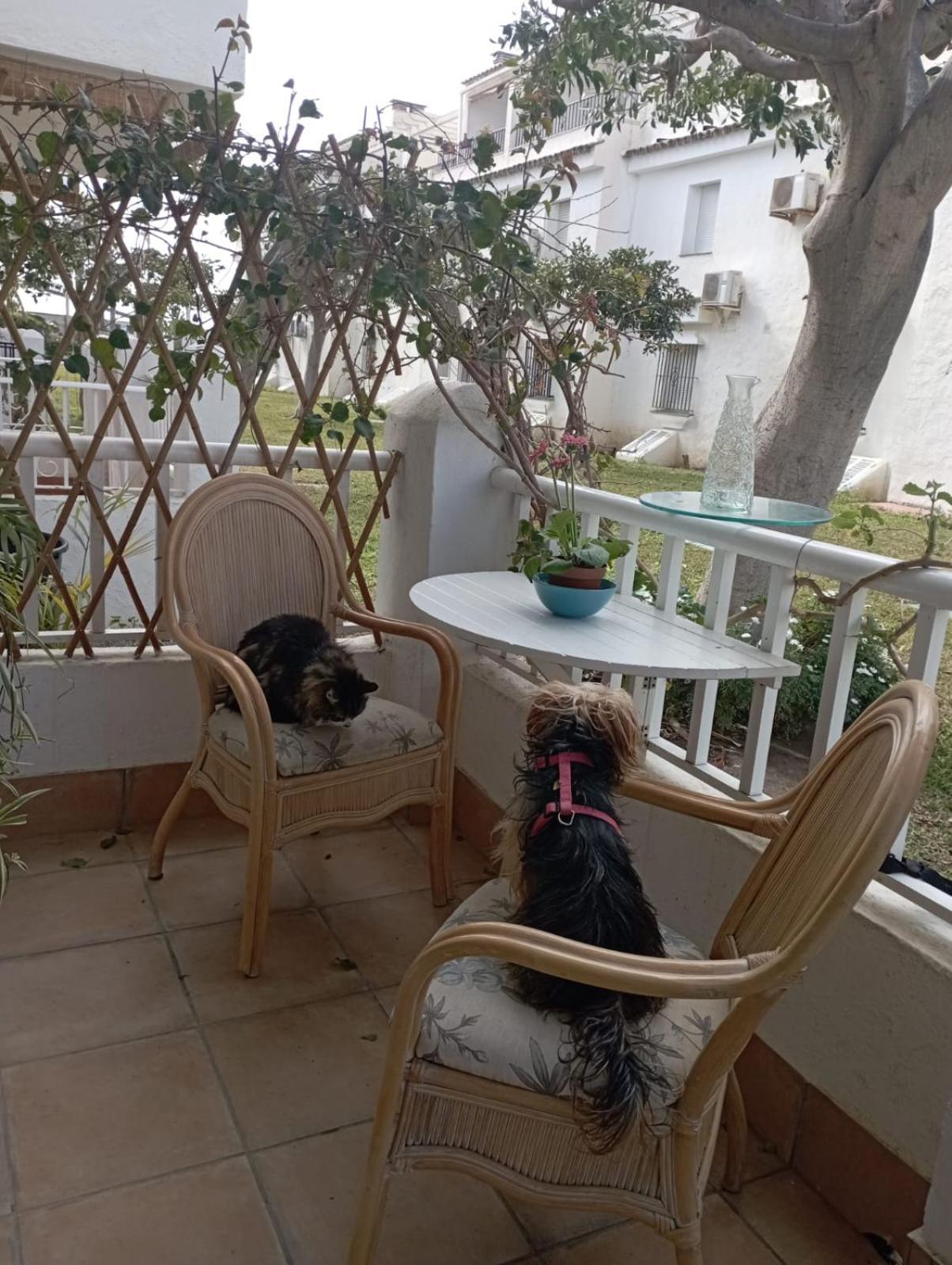 Apartamento Laguna Beach Torrox Costa Εξωτερικό φωτογραφία